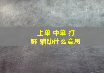 上单 中单 打野 辅助什么意思